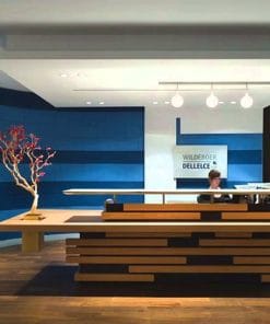 Quầy lễ tân Bluecons 3