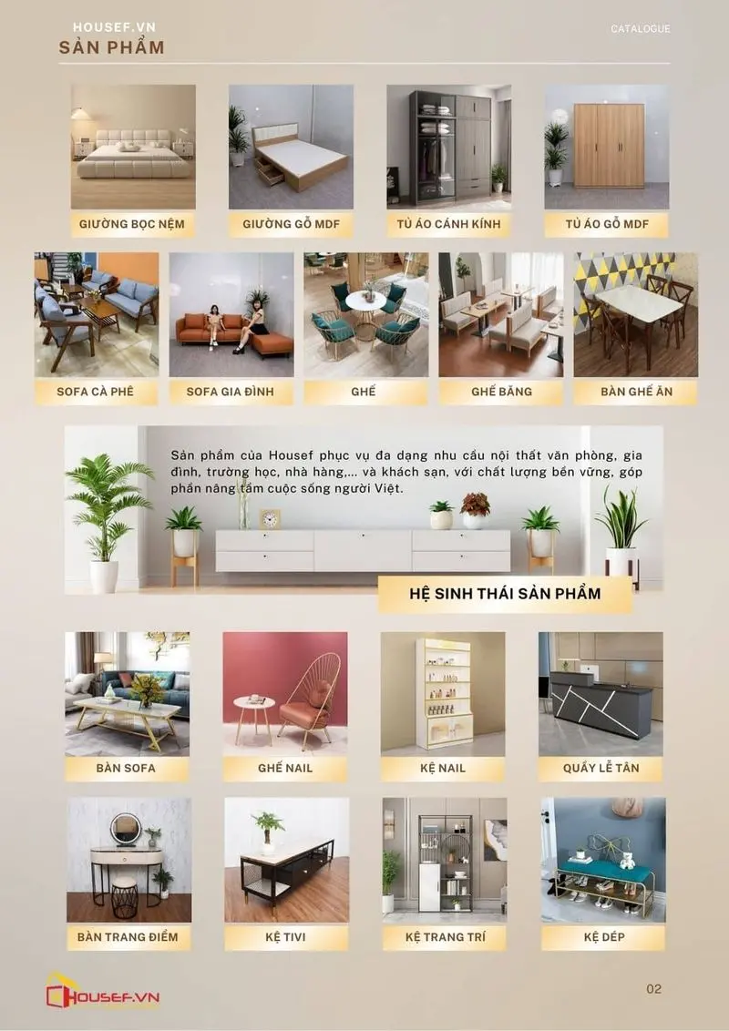 Ảnh minh họa trong bài viết