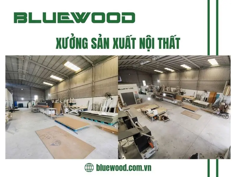 Ảnh minh họa trong bài viết